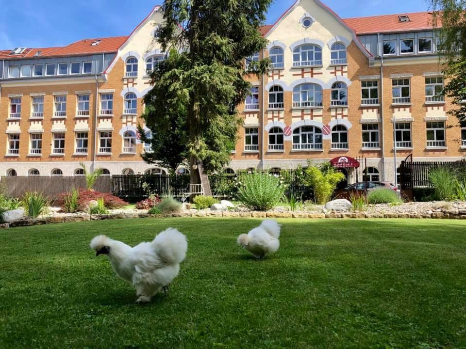 فندق Kunstwerk B تروسينغن المظهر الخارجي الصورة
